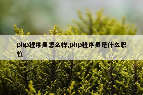 php程序员怎么样,php程序员是什么职位