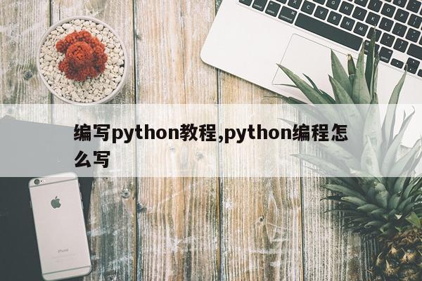 编写python教程,python编程怎么写