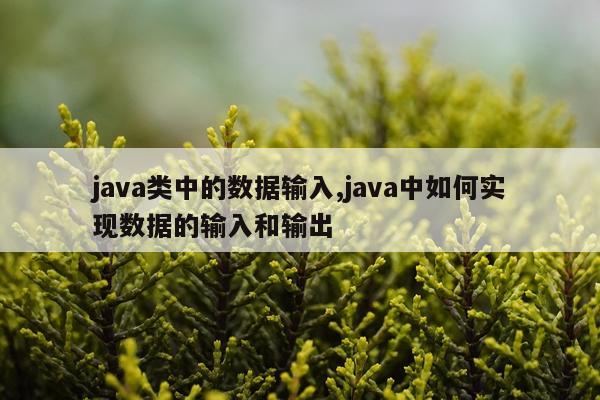 java类中的数据输入,java中如何实现数据的输入和输出