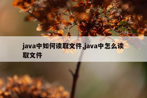 java中如何读取文件,java中怎么读取文件