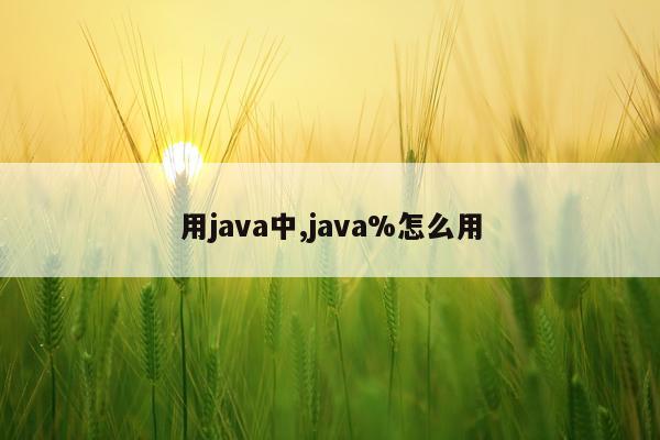 用java中,java%怎么用