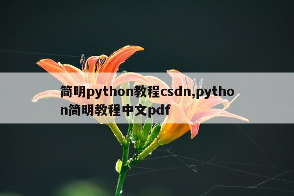 简明python教程csdn,python简明教程中文pdf