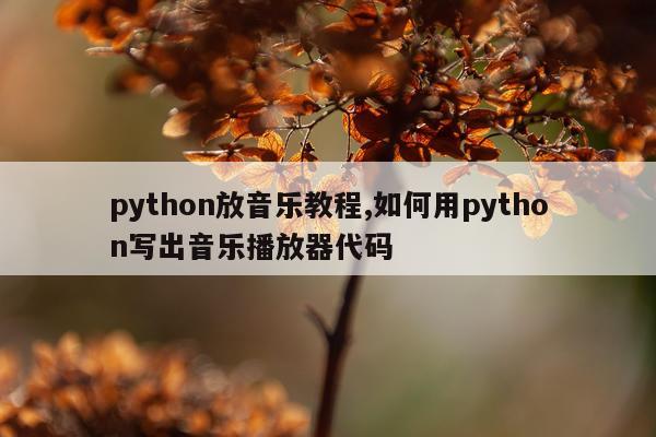 python放音乐教程,如何用python写出音乐播放器代码