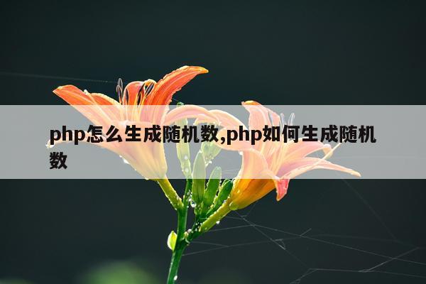 php怎么生成随机数,php如何生成随机数
