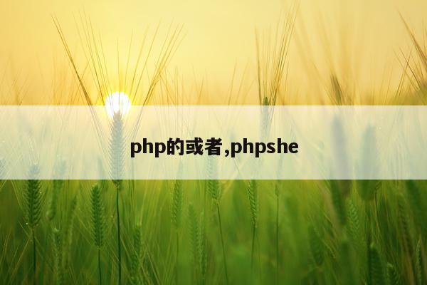 php的或者,phpshe