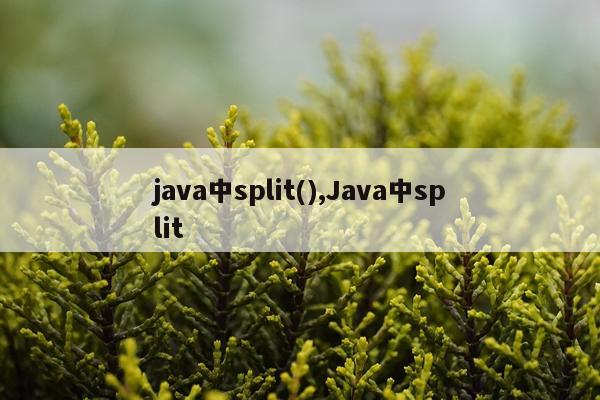 java中split(),Java中split