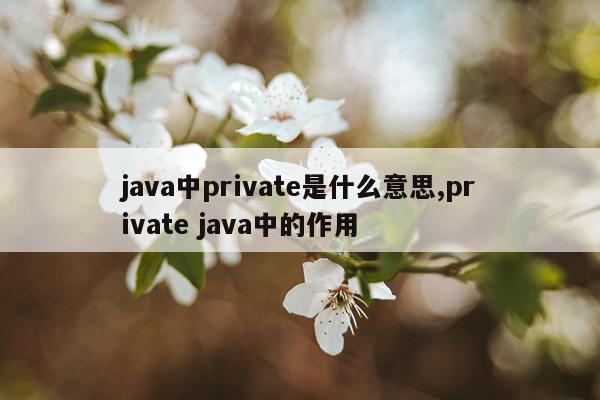 java中private是什么意思,private java中的作用