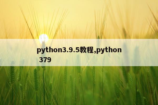 python3.9.5教程,python 379