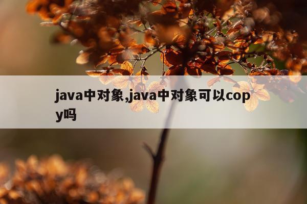 java中对象,java中对象可以copy吗