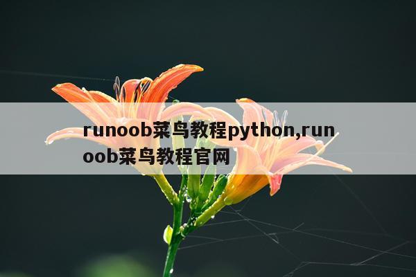 runoob菜鸟教程python,runoob菜鸟教程官网