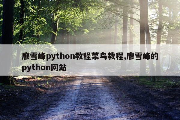 廖雪峰python教程菜鸟教程,廖雪峰的python网站