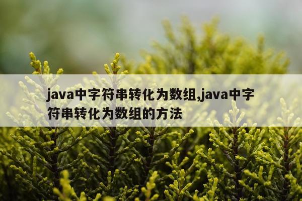 java中字符串转化为数组,java中字符串转化为数组的方法