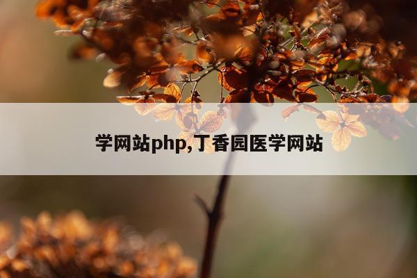学网站php,丁香园医学网站