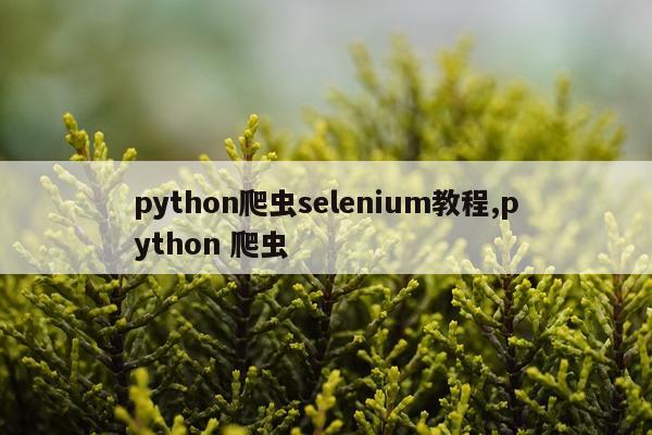 python爬虫selenium教程,python 爬虫