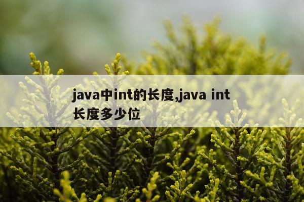 java中int的长度,java int长度多少位