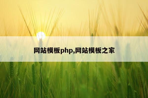 网站模板php,网站模板之家
