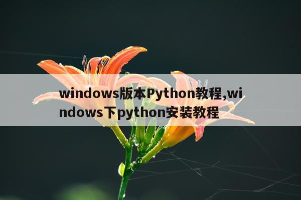 windows版本Python教程,windows下python安装教程