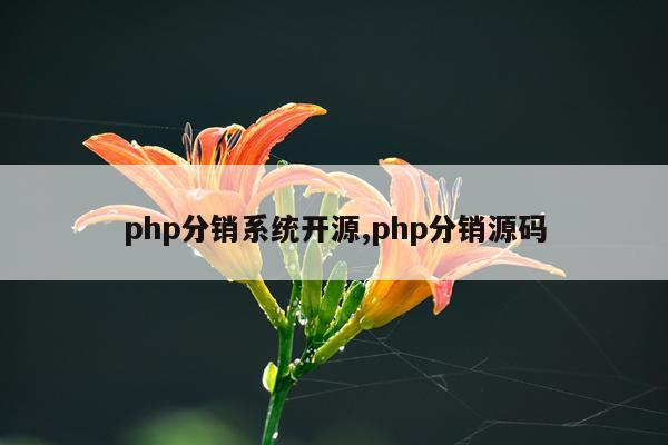 php分销系统开源,php分销源码