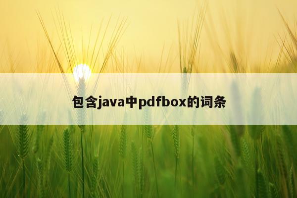 包含java中pdfbox的词条