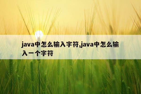 java中怎么输入字符,java中怎么输入一个字符