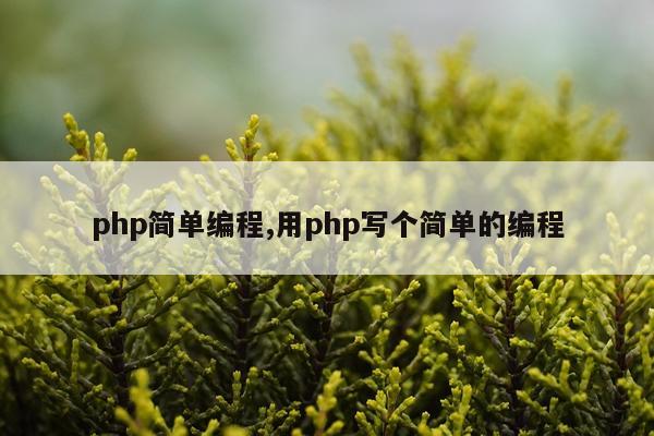 php简单编程,用php写个简单的编程