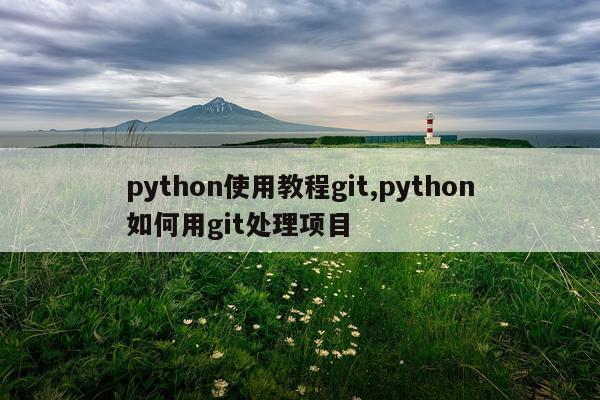 python使用教程git,python如何用git处理项目