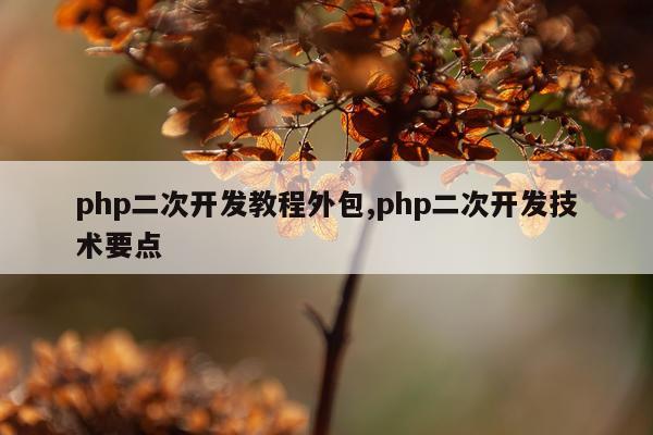 php二次开发教程外包,php二次开发技术要点
