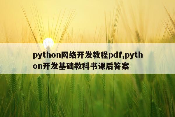 python网络开发教程pdf,python开发基础教科书课后答案