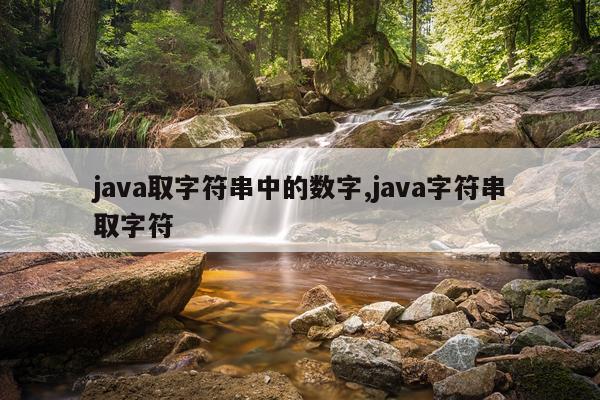 java取字符串中的数字,java字符串取字符