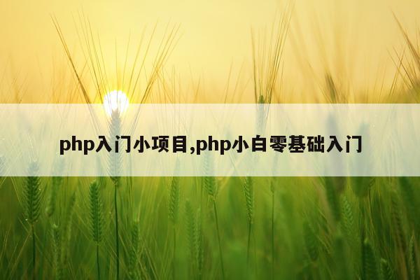 php入门小项目,php小白零基础入门