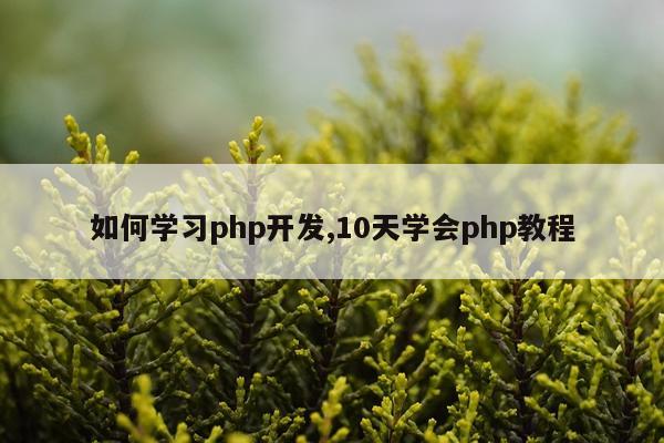 如何学习php开发,10天学会php教程