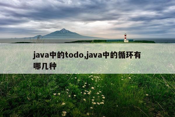 java中的todo,java中的循环有哪几种