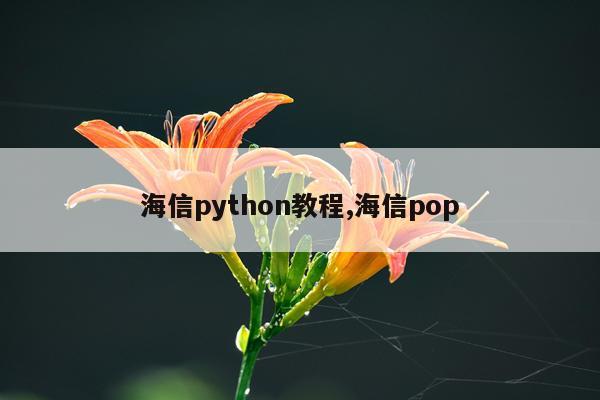 海信python教程,海信pop