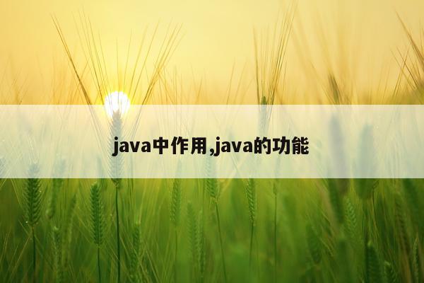 java中作用,java的功能