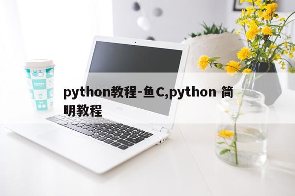 python教程-鱼C,python 简明教程