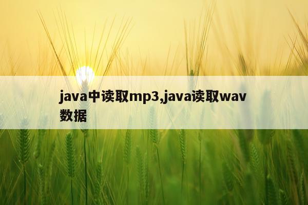 java中读取mp3,java读取wav数据