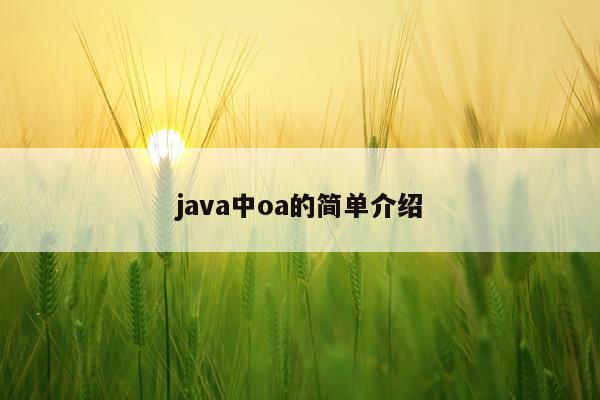 java中oa的简单介绍