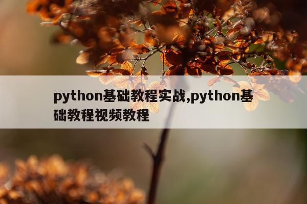 python基础教程实战,python基础教程视频教程