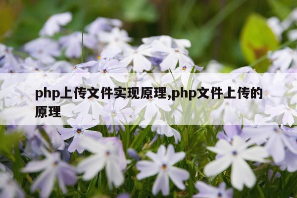 php上传文件实现原理,php文件上传的原理