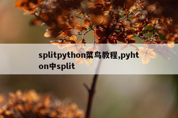 splitpython菜鸟教程,pyhton中split