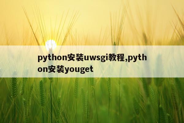 python安装uwsgi教程,python安装youget