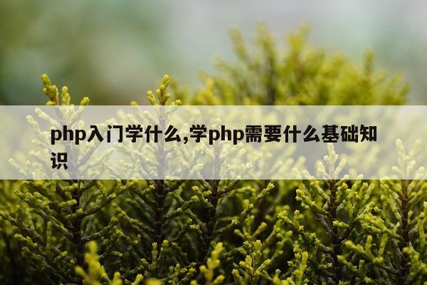 php入门学什么,学php需要什么基础知识