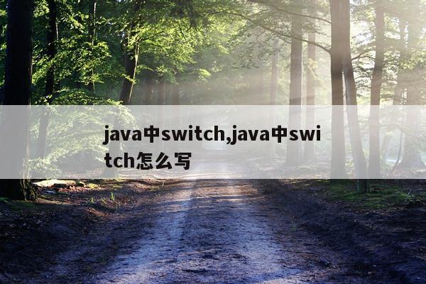 java中switch,java中switch怎么写