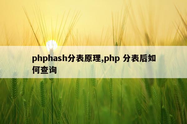 phphash分表原理,php 分表后如何查询
