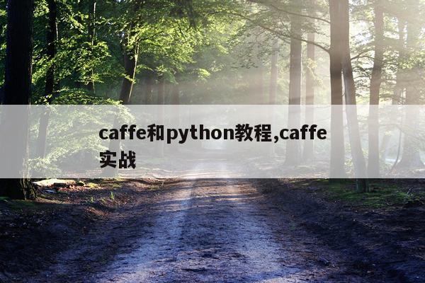 caffe和python教程,caffe实战
