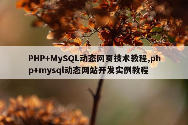 PHP+MySQL动态网页技术教程,php+mysql动态网站开发实例教程