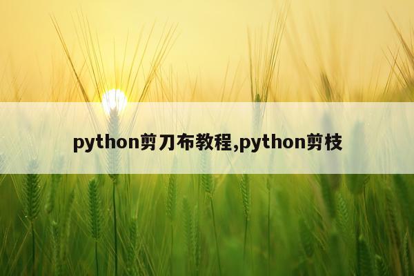python剪刀布教程,python剪枝
