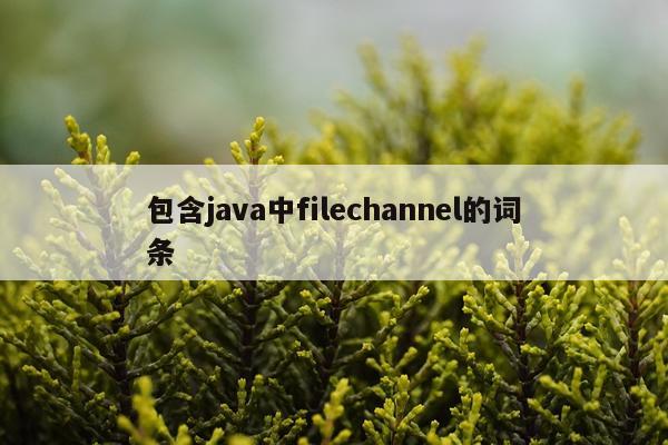 包含java中filechannel的词条