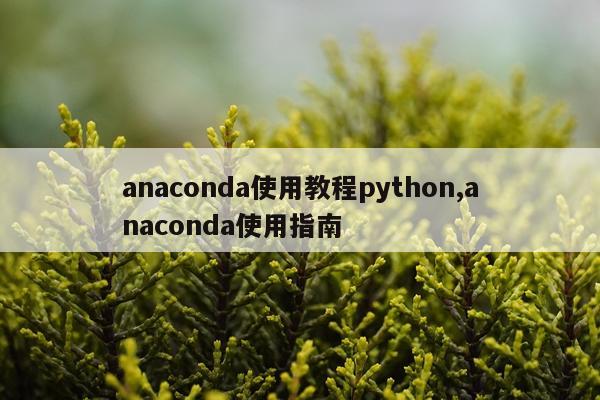 anaconda使用教程python,anaconda使用指南