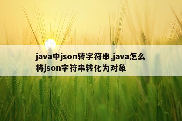 java中json转字符串,java怎么将json字符串转化为对象
